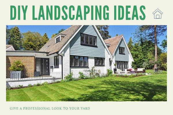 DIY landscaping Ideas