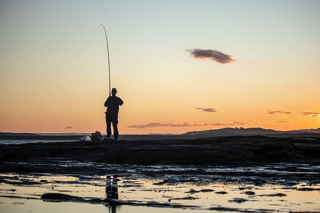 Best Time for Bass fishing 