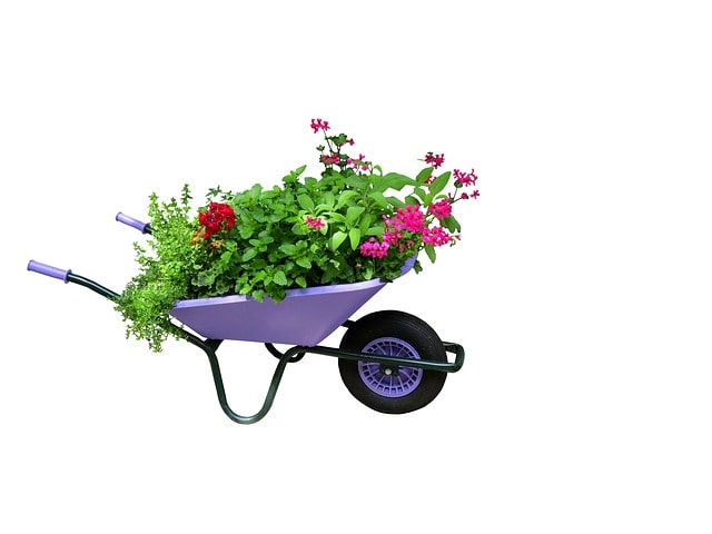 Best Wheelbarrows In Canada