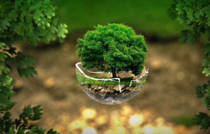 How EcoFreek Is Saving The Earth