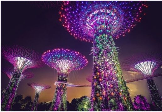 Local Singapore Attraction Ideas