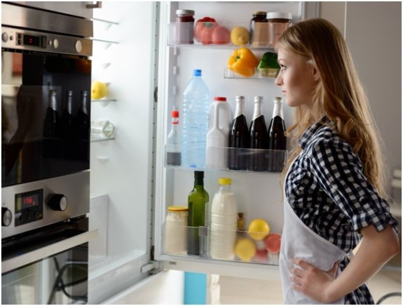 RV Refrigerator Work