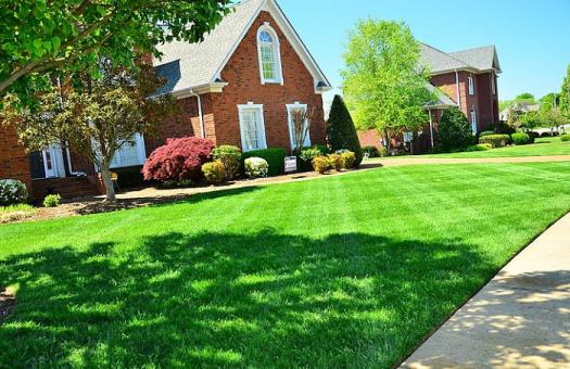 Rejuvenate Your Lawn