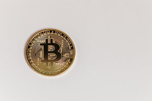 In Bitcoin's Wake, Cryptonewzhub.com internet