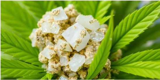 THCa 