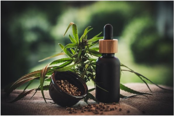 cbd oil
