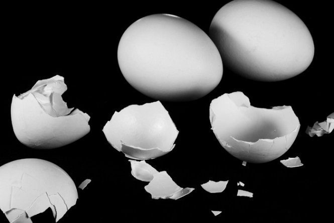 What Happens When Eggshell Is Added to Nitric Acid
