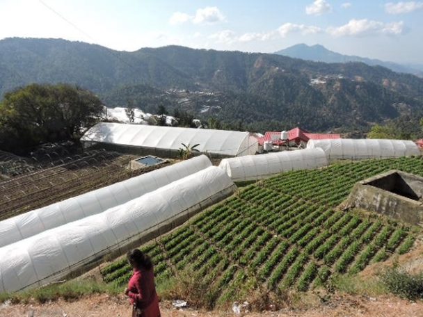 Maraog Himachal Pradesh Maraog Himachal Pradesh