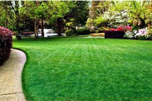 How To Calculate Your Lawn’s Square Footage
