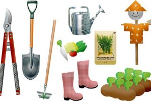 garden tools