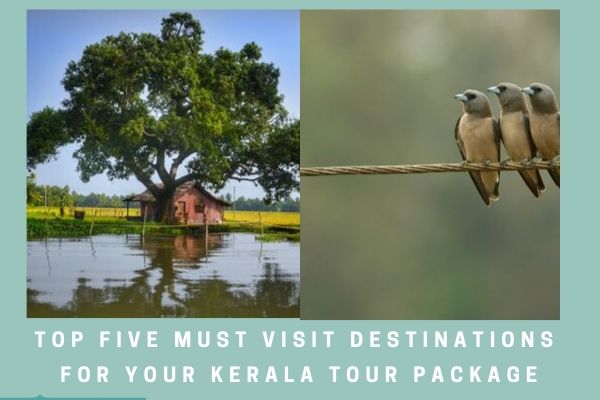 kerala tour packages