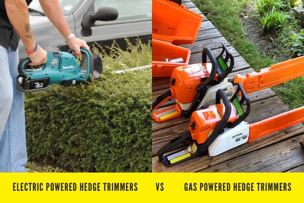 Electric VS Gas powdered Hedge Trimmers