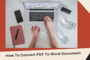 How To Convert PDF To Word Document