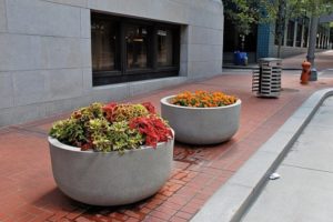 Benefits of Having a Commercial Planter in Your Back Yard