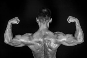 Bodybuilding for Beginners