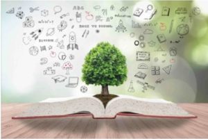 Life hacks for online education