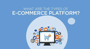 Ecommerce Platforms