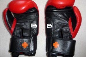 Purchase Boxing Gloves