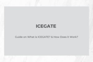ICEGATE