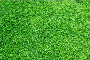 Artificial Turf