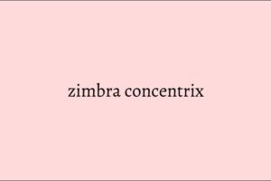 zimbra concentrix