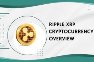 Ripple XRP Cryptocurrency Overview