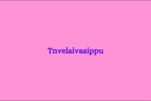 tnvelaivaaippu