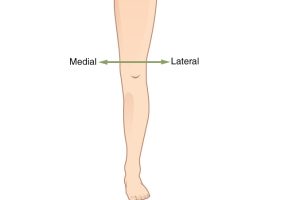 Lower Limb Amputation Recovery