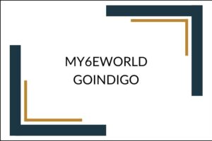 my6eworld goindigo