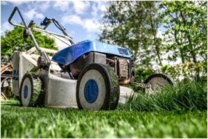 Best Machines to Cut Grass