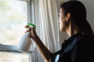 How Professional Cleaning Reduces Household Allergens