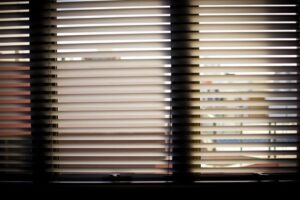 Venetian Blinds for Your Kiwi Home