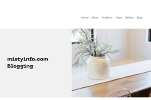 MistyInfo.com Blogging Review