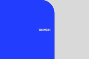 All about mdm portal, mdm login guide @ pmposhan-mis.education.gov.in