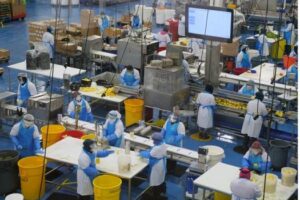 The Importance of Hygienic Processing in Food Manufacturing