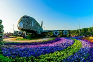 Dubai Miracle Garden