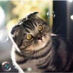 Cats as Therapy
