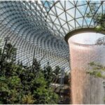 Onboarding Gifts for Environmentally Conscious Companies (1)