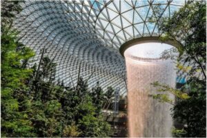 Onboarding Gifts for Environmentally Conscious Companies (1)
