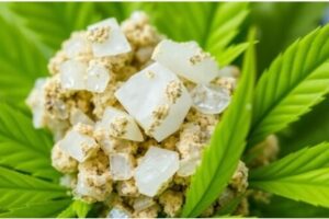 THCa