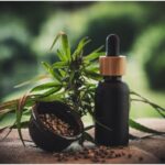 cbd oil