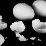 What Happens When Eggshell Is Added to Nitric Acid