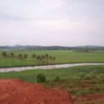 Kizhakkambalam, Kerala