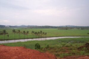 Kizhakkambalam, Kerala